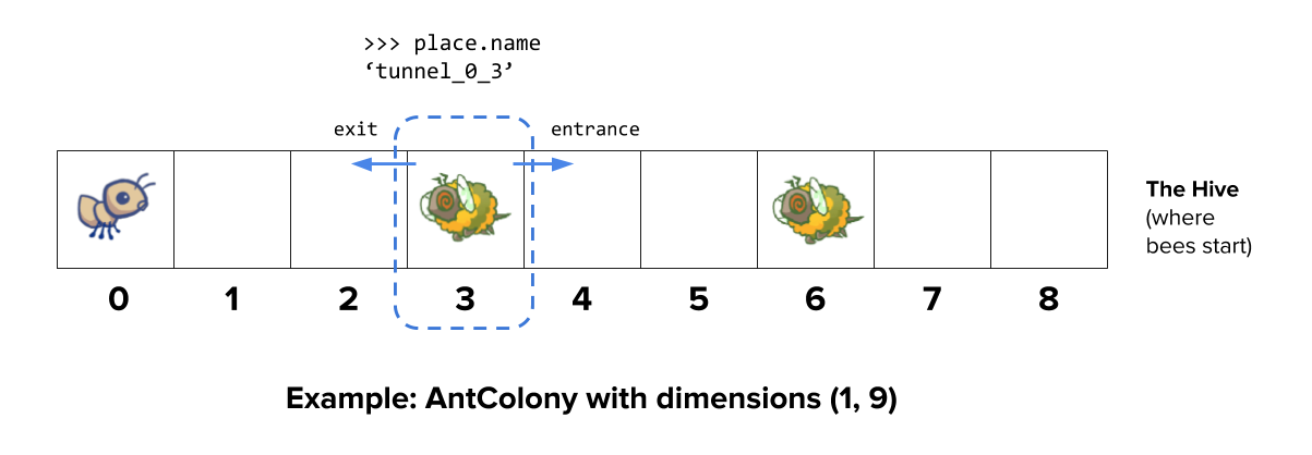 Diagram of the ant colony